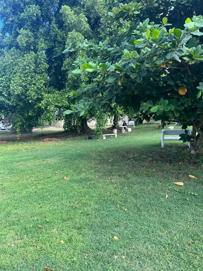 Lägenhet Comfort Rest Ocho Rios